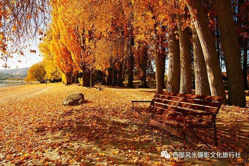 小猫钓鱼开船版最新版下载