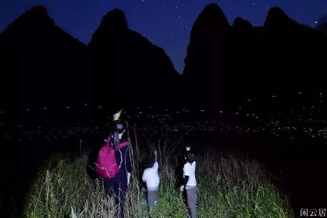 召唤神龙万宁版祖龙